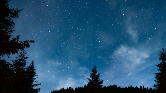 A starry night with dark skies and constellations above a coniferous forest. The spruce and pine trees appear as silhouettes in the midnight. Darkness into the mountains.