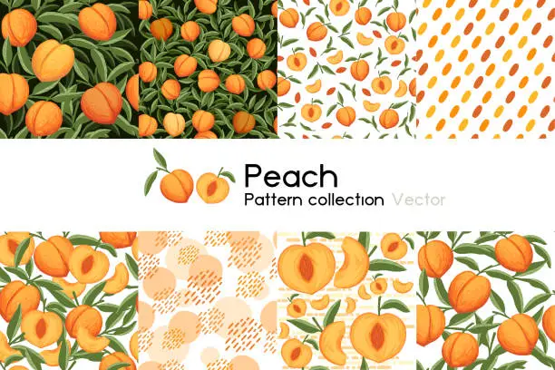 Vector illustration of Pattern with seamless patterns collection of whole and sliced peach with leaves or not vector illustration on white background