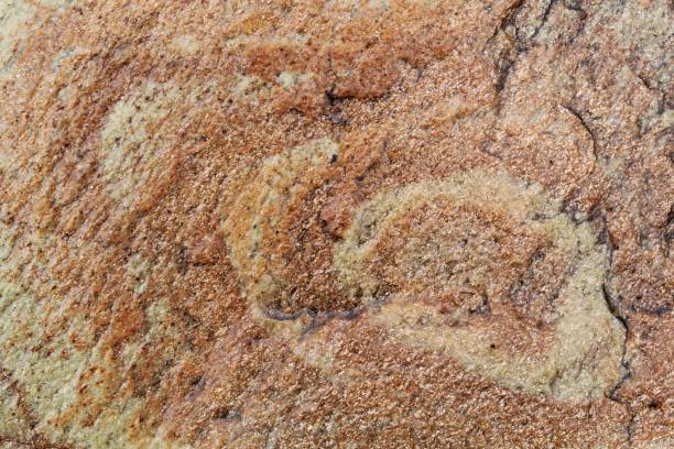 istock Mountain rock texture. Natural brown slate granite slab marble stone ceramic seamless tile rough surface background 1470806972
