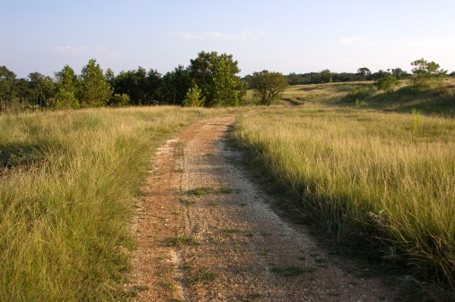 Pasture road going thru a Texas ranch