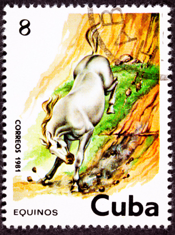 Canceled Cuban Postage Stamp White Horse Running Down Steep Hillside - See lightbox for more