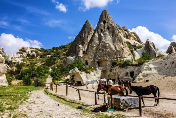 Photo of Horses in stable, Cappadocia, Turkey