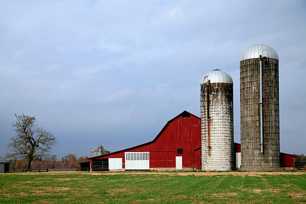 istock A red barn with two old silos in a field  147081344