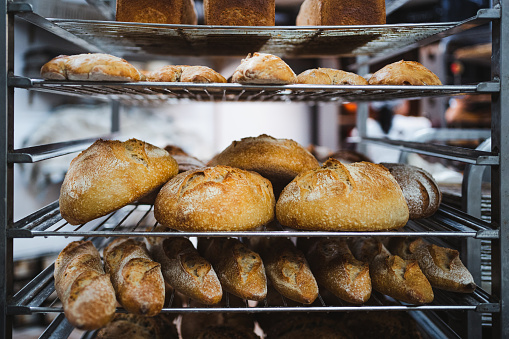 Several crusty bread pieces cooling down in metal rack in artisan bakery