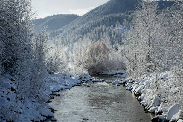 istock Scenic river during winter in Idaho. 1470817203