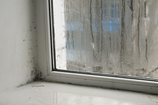 because of the wet window, black mold appeared on the wall