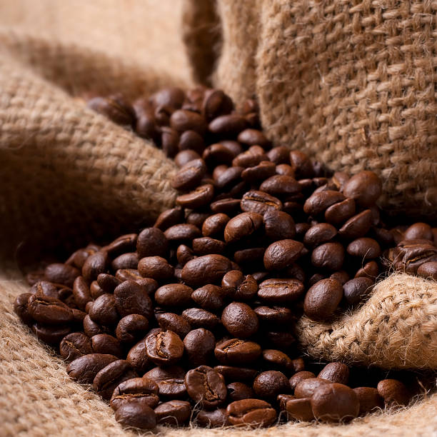 Coffee beans on burlap fabric stock photo