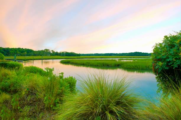 Marsh Sunrise at High Tide- Hilton Head, South Carolina stock photo