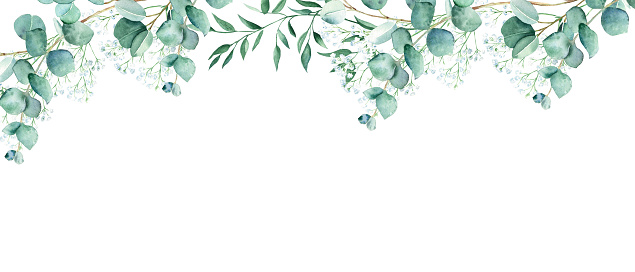 Floral watercolor banner. Green eucalyptus, pistachio and gypsophila branches isolated on white background. Rustic romantic style. Floral design frame. Can be used for cards, wedding invitations, banners, blog templates.