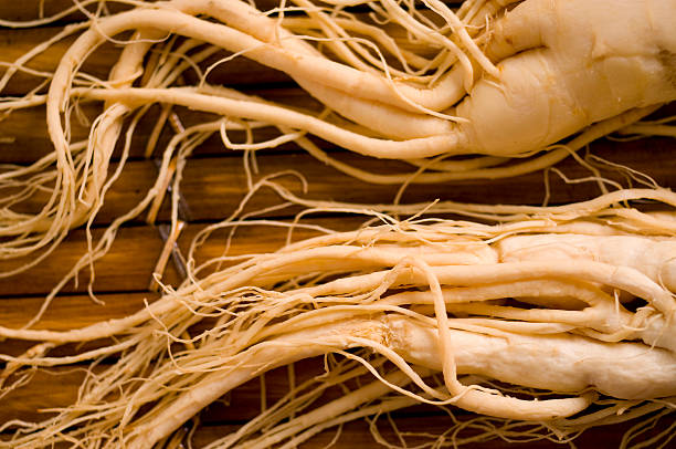 Ginseng roots stock photo