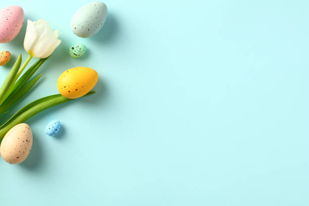 istock Happy Easter banner design. Easter eggs and white tulips flowers on pastel blue background. 1470824138