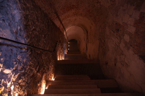暗い石のトンネルに通じる階段 - basement spooky cellar door ストックフォトと画像