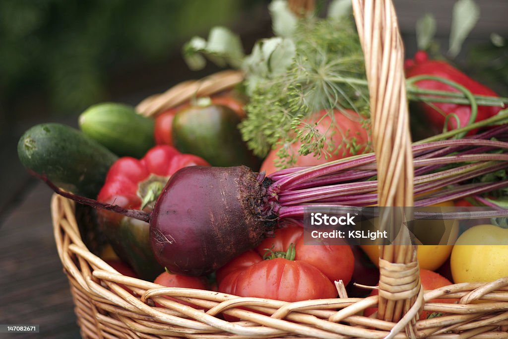Vegetables This is a close-up of fresh vegetables Autumn Stock Photo