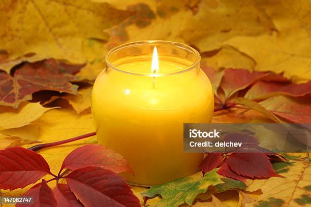 Light Of Autumn Stock Photo - Download Image Now - Autumn, Backgrounds, Beauty In Nature