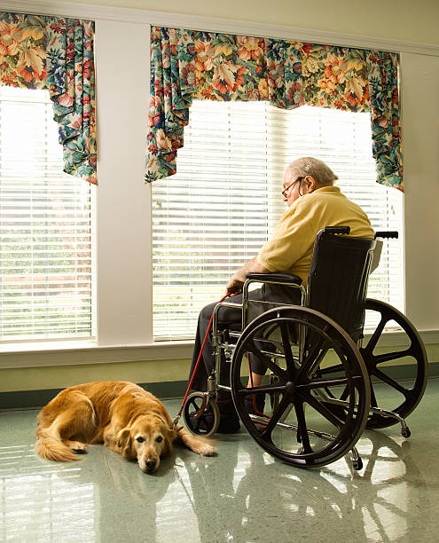 vieil homme en fauteuil roulant et de chien - senior adult dog nursing home pets photos et images de collection