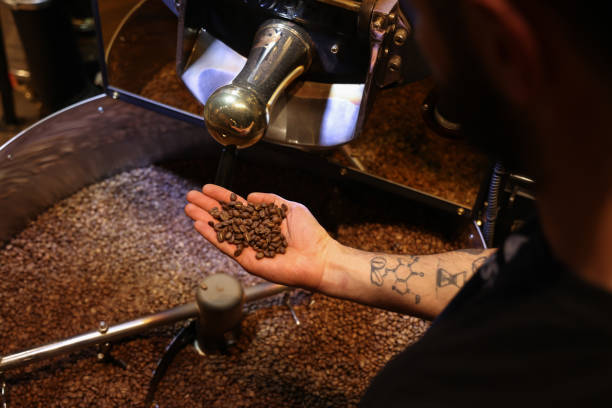 istock Worker checking quality of roasted coffee beans 1470830884
