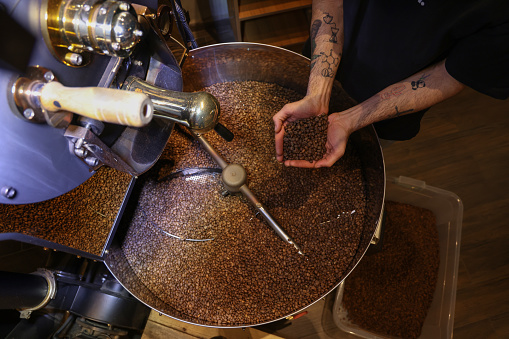 Worker checking quality of roasted coffee beans