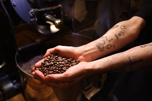 Worker checking quality of roasted coffee beans