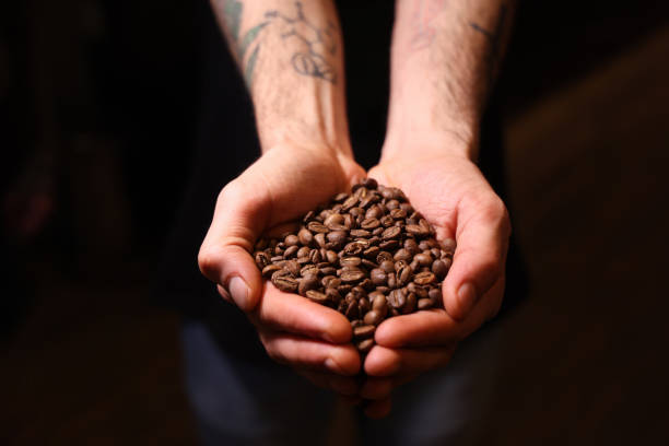 uomo che tiene i chicchi di caffè - coffee crop bean seed directly above foto e immagini stock