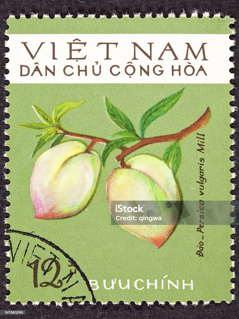 Cancelada Vietname do Norte Vietnamita Selo postal Pêssego sucursal Prunus Persica - Royalty-free Beleza Foto de stock