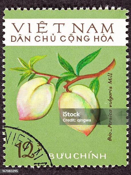 Cancelada Vietname Do Norte Vietnamita Selo Postal Pêssego Sucursal Prunus Persica - Fotografias de stock e mais imagens de Beleza