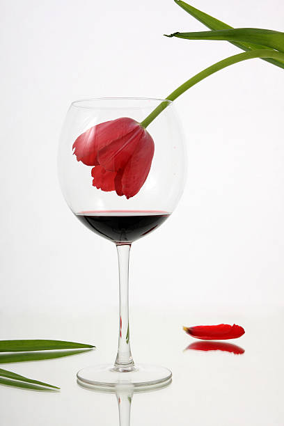 istock Beauty fades in wine. 147083345