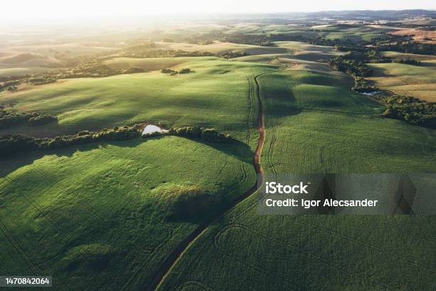 Sunset In Agricultural Fields Stock Photo - Download Image Now - Agriculture, Soybean, Brazil