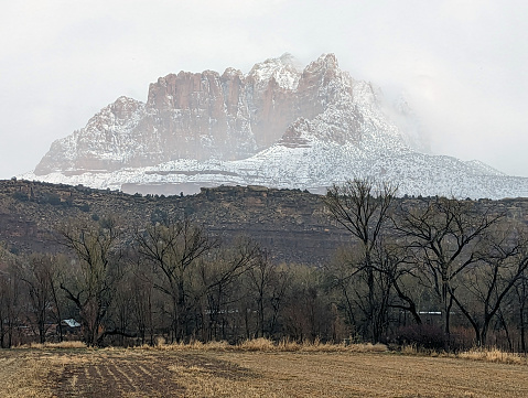 Pasture along the Virgin River in Rockville Utah with Zion National Park in the background and snow-capped peak