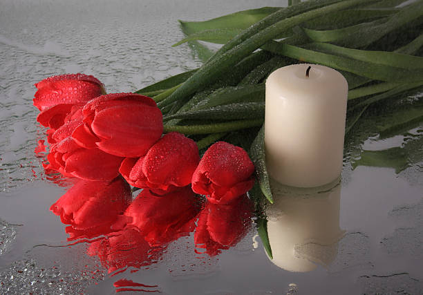 istock Tulips and a candle in the rain. 147084425