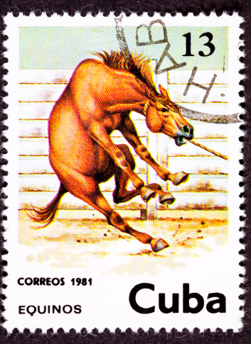 Canceled Cuban Postage Stamp Wild Horse Leaping Corral Lasso Neck - See lightbox for more