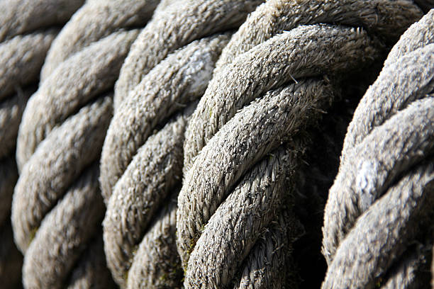 istock Closeup of coiled rope 147084769