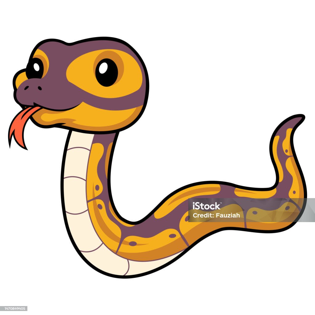 Python Mean Snake Cartoon Cute Banana Ball Python Snake Cartoon Stock Illustration - Download ...