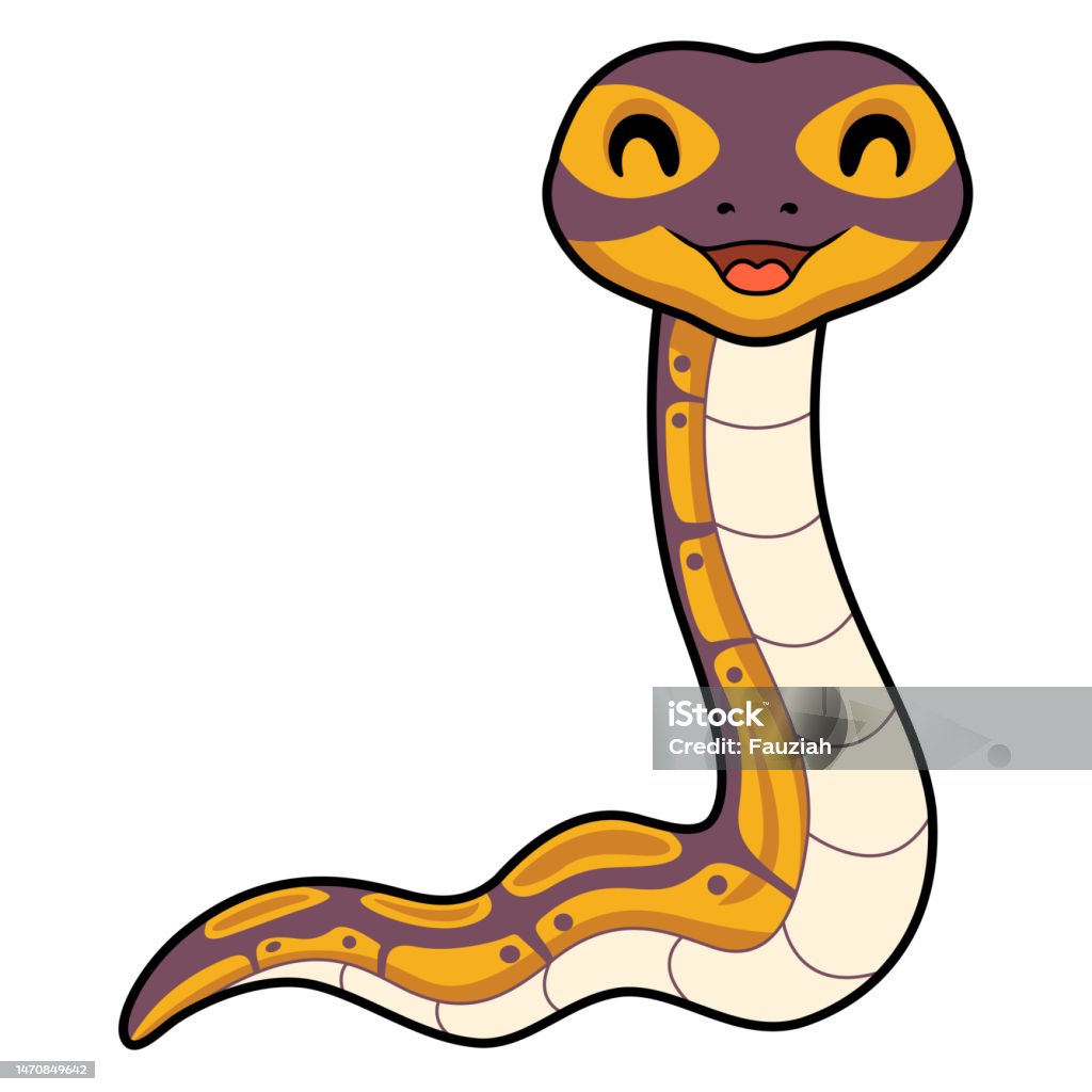 Python Mean Snake Cartoon Cute Banana Ball Python Snake Cartoon Stock Illustration - Download ...