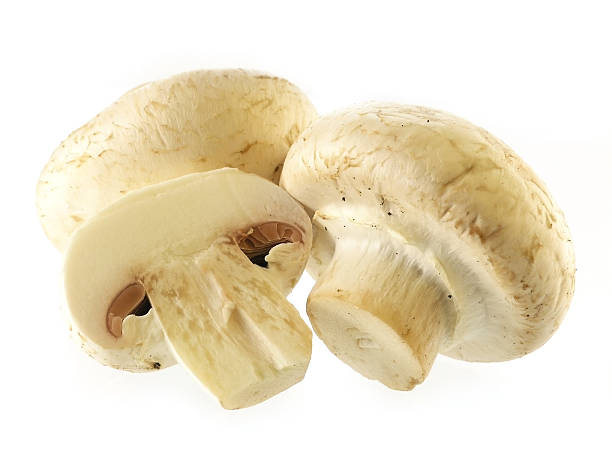 champignon frescas - foto de stock