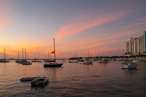 Sunset in the Harbor,