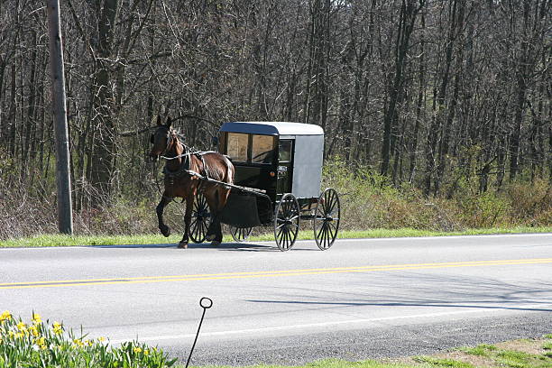 istock amish horse and buggy 2 147085785