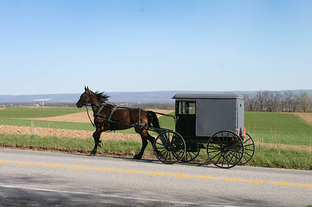 istock Amish horse and buggy 3 147085791