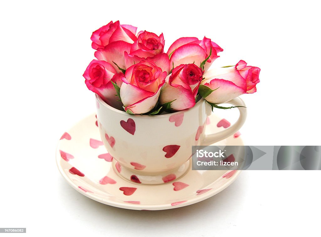 roses and cup roses in a pretty cup and saucer Rose - Flower Stock Photo