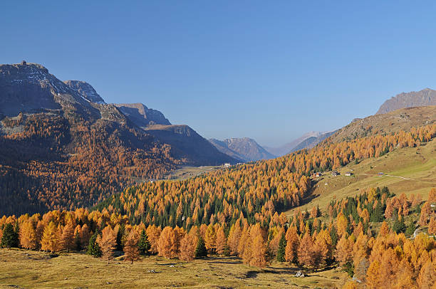 istock Passo San Pellegrino (Dolomites - Italy) 147086435