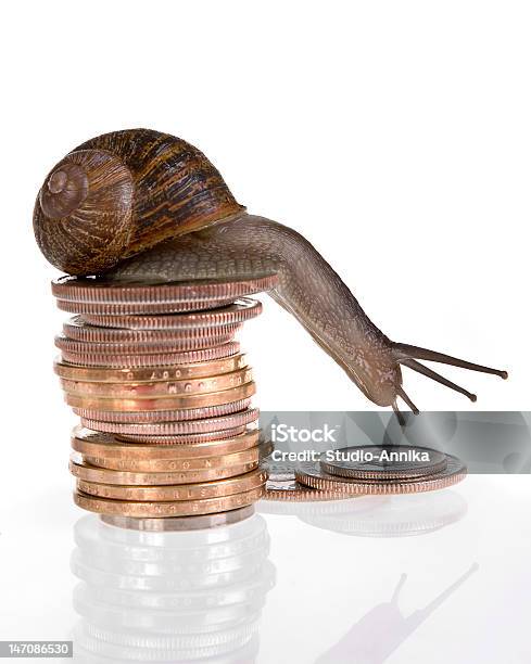 Langsam Finanzen Stockfoto und mehr Bilder von Weinbergschnecke - Weinbergschnecke, Währung, Dollarsymbol