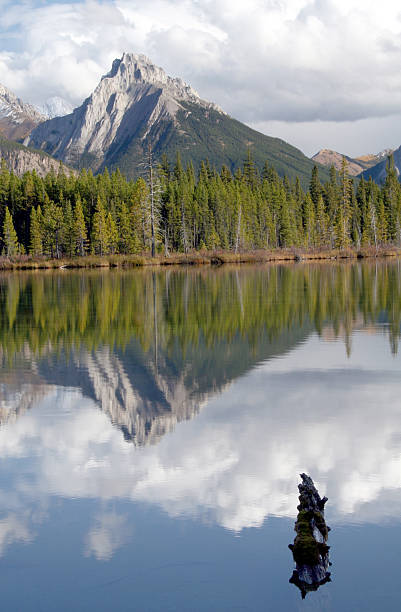 istock Mountain Reflection on Spillway Lake, Kananaskis Country. 147086582