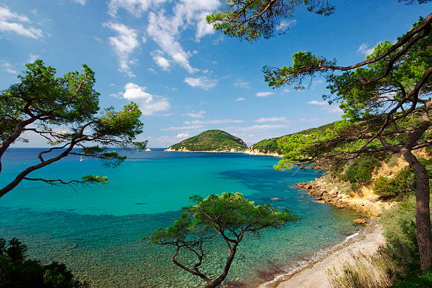 Summer on Isola d'Elba, Italy Photograph taken on Isola d'Elba in Italy livorno stock pictures, royalty-free photos & images