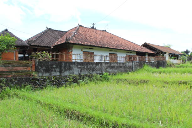istock Residential house near rice field 1470874872