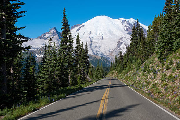 istock Road to Mt Rainier under bright blue sky 147087624