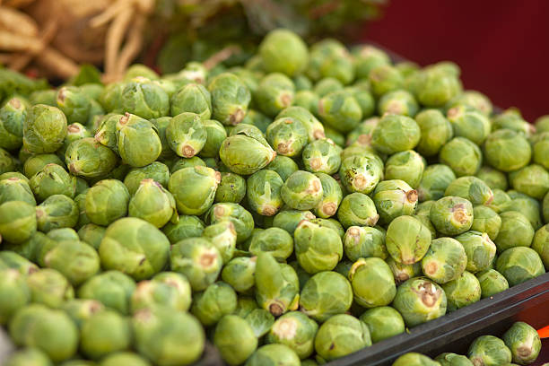 Brussel Sprouts stock photo