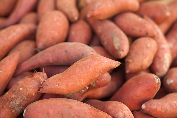 Yams stock photo