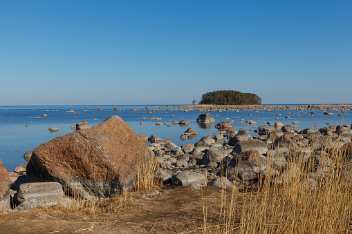 Iced sea coast with a plenty of boulders. Sunny winter day.