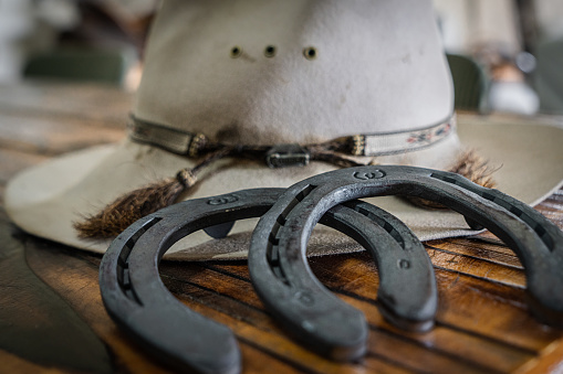 The farrier comes to the stable every 6 weeks to shoe horses. His work requires extreme heat, precision, strength, and knowledge and experience around horses. The job, combined with afternoon and morning sun, with smoke billowing and animals, provides for an incredibly intense photoshoot.