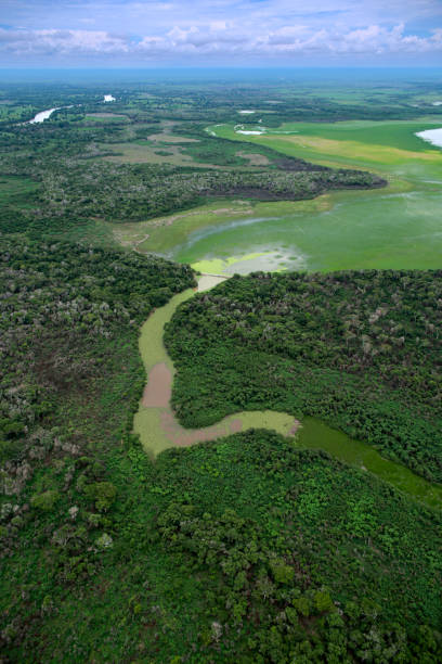 istock Dam in Pantanal Brazil 1470882161