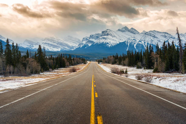 istock Road trip on highway between pine forest driving straight to rocky mountains in Icefields Parkway 1470883572